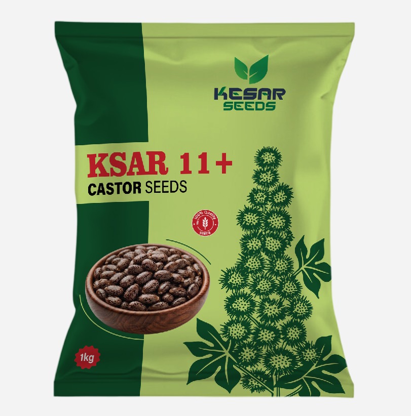 KSAR11Plus